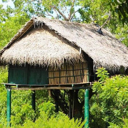 Yala Beddegama Eco Hotel Катарагама Екстериор снимка