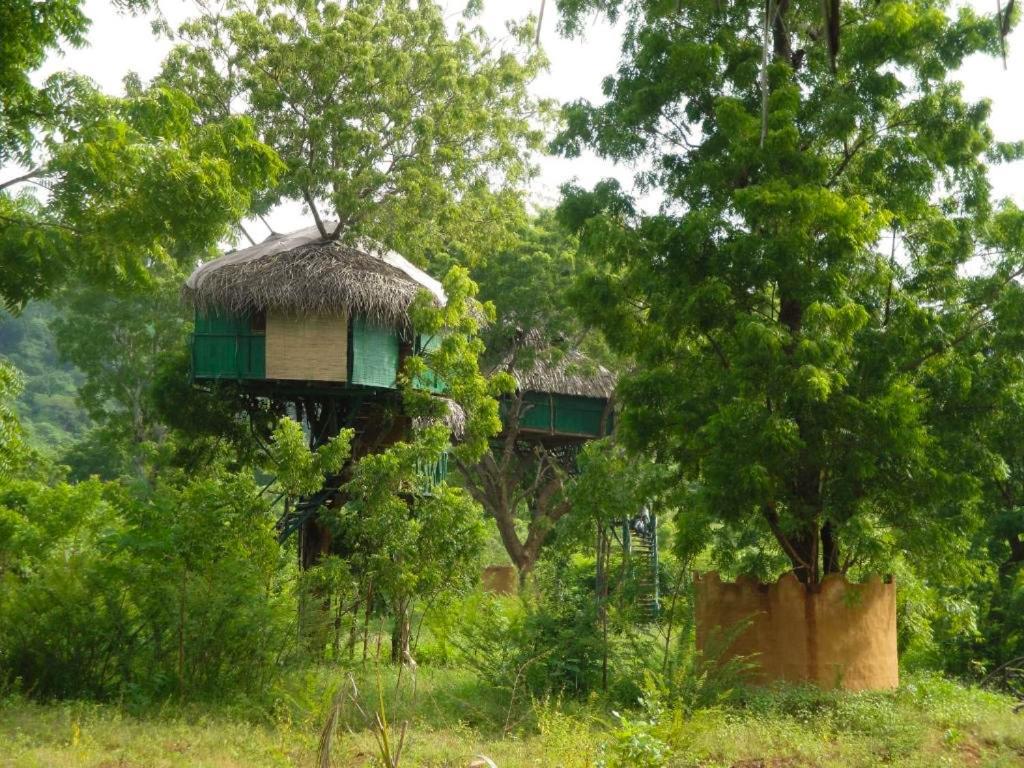 Yala Beddegama Eco Hotel Катарагама Екстериор снимка
