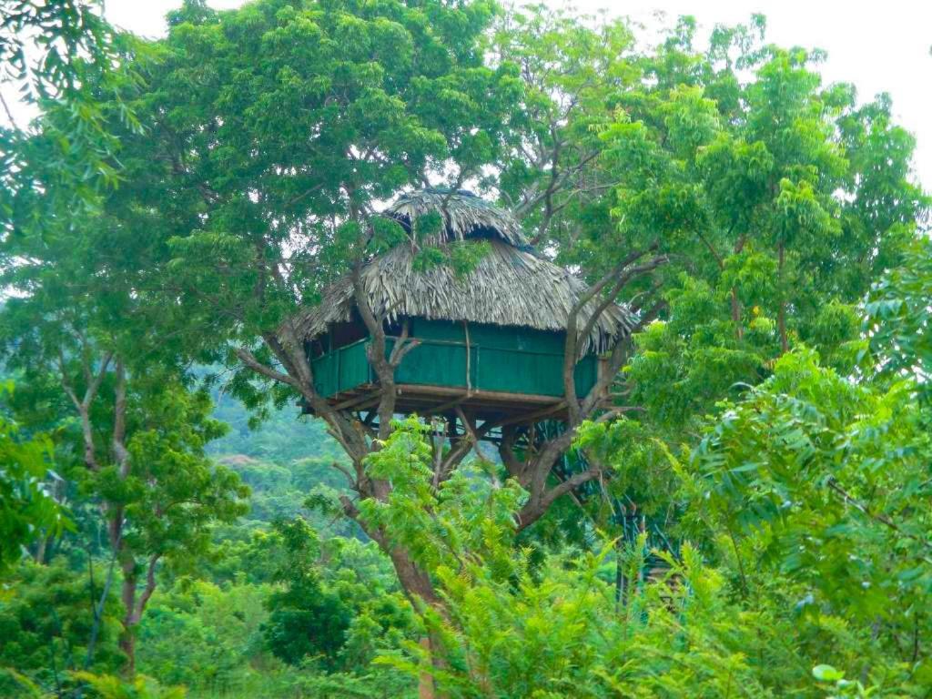 Yala Beddegama Eco Hotel Катарагама Екстериор снимка