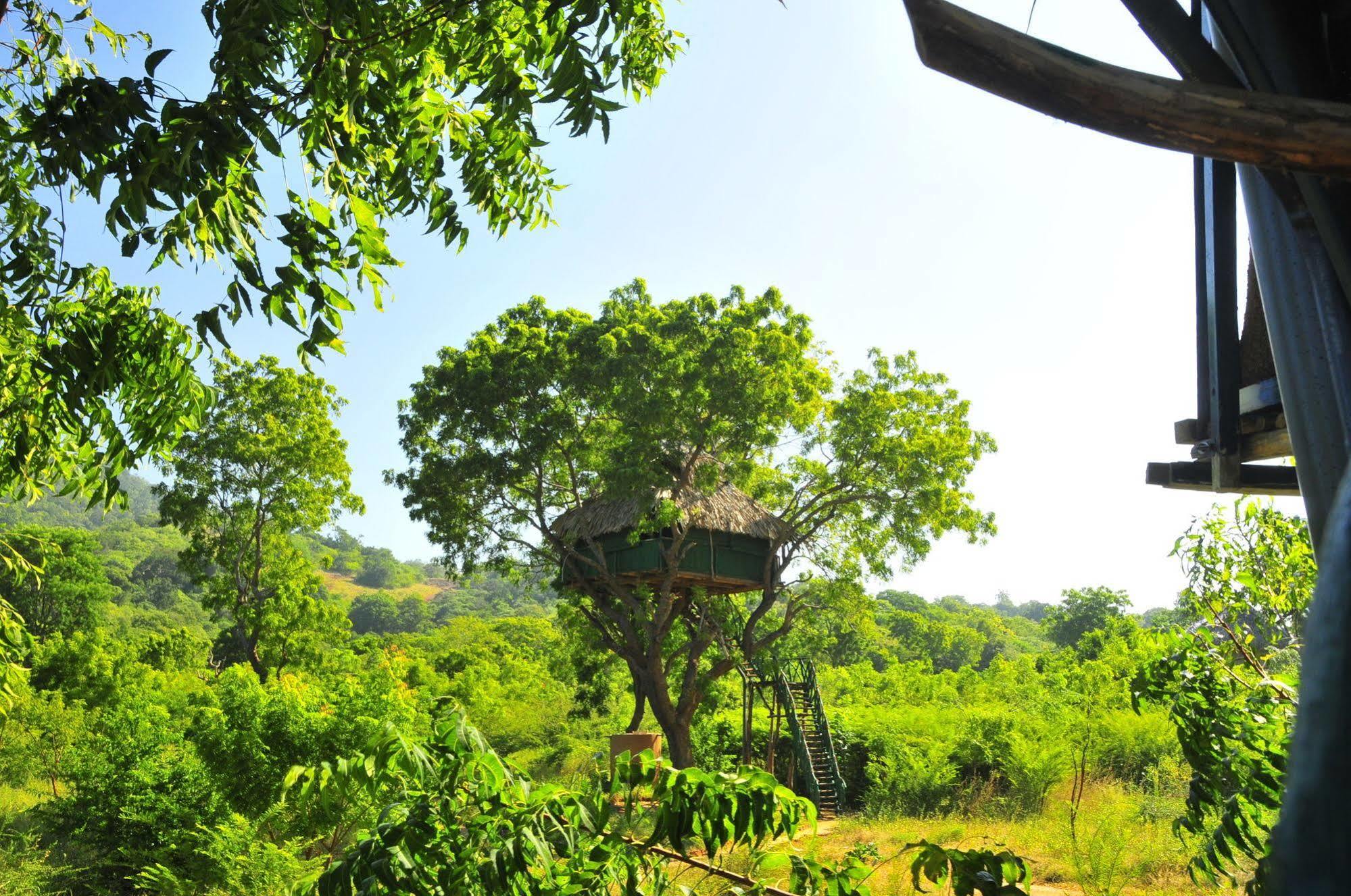 Yala Beddegama Eco Hotel Катарагама Екстериор снимка
